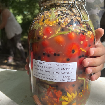 Das Bild zeigt ein großes Glasgefäß, das mit verschiedenen bunten Blumen und Kräutern gefüllt ist und von einer Hand gehalten wird, mit einem weißen Etikett, auf dem der Inhalt steht.
