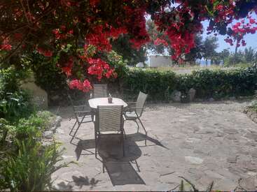 A peaceful garden patio with a stone floor, four chairs around a small round table, shaded by vibrant red flowers and surrounded by lush green foliage.