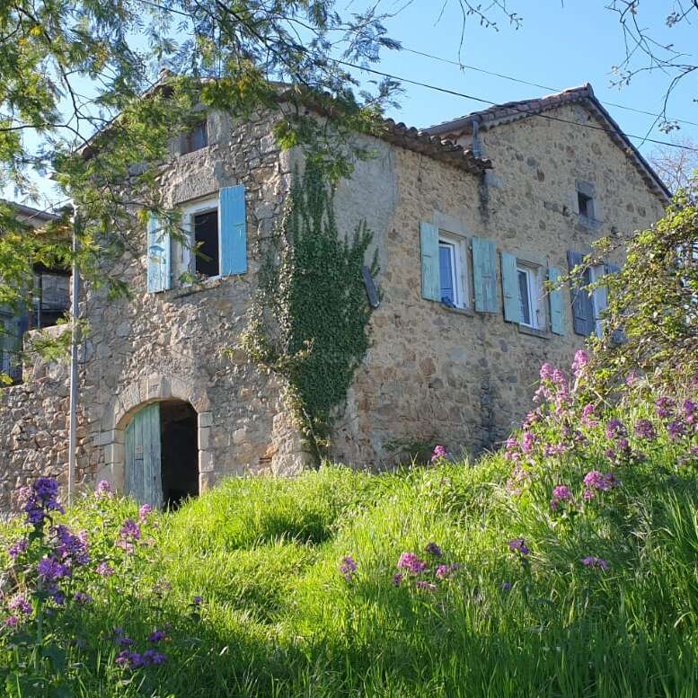 A charming rustic stone house with blue shutters sits on a grassy hill, surrounded by lush greenery, purple wildflowers, and bathed in bright sunlight.