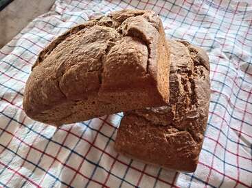 Dois pães caseiros rústicos estão em cima de um pano de prato xadrez. O pão parece saudável, crocante e fresco, perfeito para cortar e saborear.