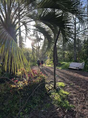 A luz do sol penetra entre as folhas das palmeiras, iluminando uma trilha na floresta. Duas pessoas caminham à frente, cercadas por uma vegetação exuberante, flores e um velho banco branco à beira do caminho.