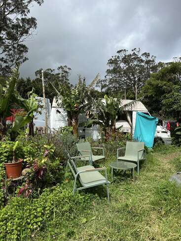 Quatro cadeiras verdes e uma mesinha estão dispostas em um ambiente exuberante, que lembra um jardim. Plantas tropicais, uma barraca e o céu nublado criam uma atmosfera descontraída ao ar livre.