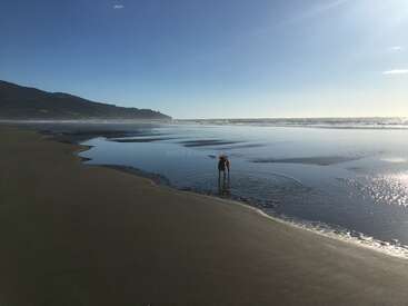 Una persona se encuentra de pie en aguas poco profundas, en una playa inmensa y desierta, bajo un cielo azul y despejado, con las montañas a lo lejos y la suave luz del sol reflejándose en la arena húmeda.