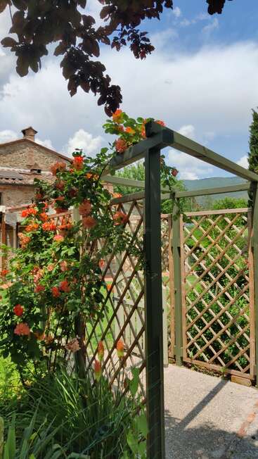 Eine bezaubernde Gartenszene mit einem hölzernen Spalier aus orangefarbenen Rosen, üppigem Grün, einem Steinhaus und einem blauen Himmel mit flauschigen Wolken im Hintergrund.