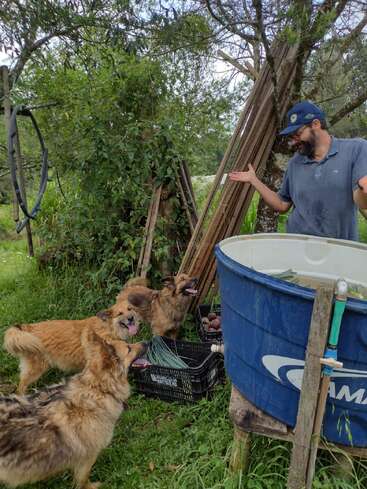 A man stands next to a large blue water tank outdoors, gesturing with a smile at three happy brown dogs eagerly looking up at him in anticipation.