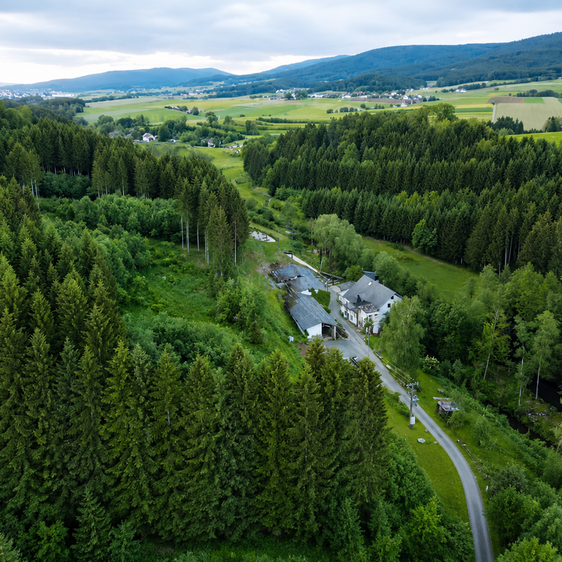 A peaceful countryside landscape with dense forests, open fields, and scattered houses. A winding road leads to a secluded home nestled among tall green trees.
