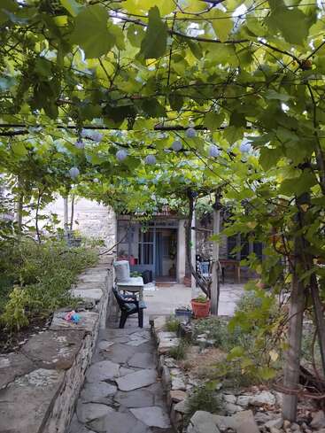 Un encantador patio de piedra con un dosel de exuberantes vides verdes, luces de hadas, muebles rústicos, plantas en macetas y un ambiente mediterráneo tranquilo y acogedor.