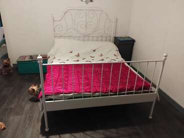 Un acogedor dormitorio con un somier de metal blanco, ropa de cama con motivos de mariposas, una manta rosa brillante, suelo de madera, dos mesillas de noche y tres pequeños perros Yorkshire Terrier.