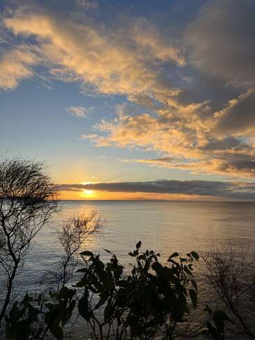 El sol dorado se pone sobre el océano en calma, pintando el cielo con cálidos tonos naranjas y amarillos. La silueta de los árboles enmarca la tranquila y reflectante escena acuática.