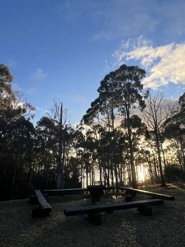 Altos árboles rodean un rústico campamento con bancos de madera y una hoguera central. El sol se pone y proyecta una luz dorada sobre el tranquilo bosque.
