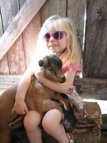 A young girl with long blonde hair and pink sunglasses happily hugs a brown baby goat while sitting on a wooden bench inside a rustic barn.