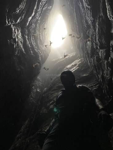 Uma pessoa está dentro de uma caverna escura, olhando para cima, em direção a uma abertura iluminada acima. Morcegos voam perto da entrada, realçando a atmosfera misteriosa e cheia de aventura do local.