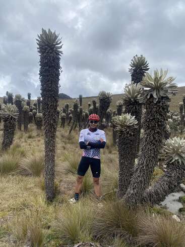 Um ciclista com capacete vermelho e equipamento de ciclismo está em meio a altas plantas de frailejón, numa paisagem de páramo de alta altitude, sob um céu nublado. Um cenário único e impressionante.