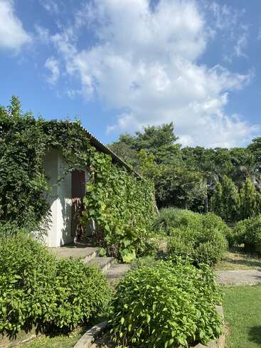 Ein kleines weißes, mit Weinreben bedecktes Haus ist umgeben von üppigen grünen Büschen und Bäumen unter einem strahlend blauen Himmel mit vereinzelten flauschigen Wolken. Eine friedliche Szene.