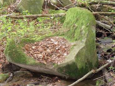 The image depicts a moss-covered stone chair situated in a forest, surrounded by fallen branches and leaves, with a small stream running beneath it.