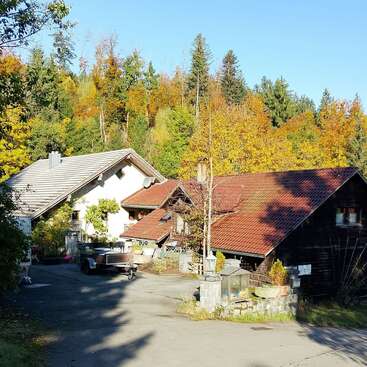 A peaceful countryside scene with two charming houses, surrounded by lush autumn trees. Bright sunlight shines on the rooftops, creating a warm and welcoming atmosphere.