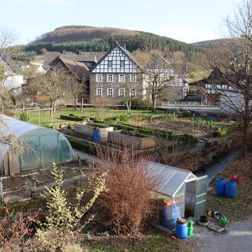 La imagen representa una serena escena de un jardín o parque, con una gran masa de agua, exuberante vegetación y un árbol prominente, que evoca una sensación de tranquilidad y belleza natural.