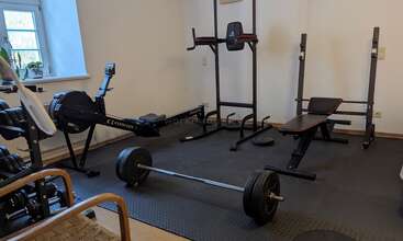 This image shows a home gym with a rowing machine, dumbbells, bench press, dip station, barbell, rubber flooring, a window, and some plants on the windowsill.