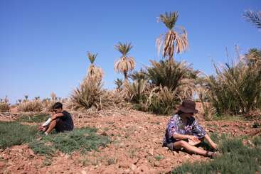 Two people sit on dry, rocky soil among small green plants, surrounded by palm trees under a clear blue sky, suggesting a hot, rural, agricultural environment.