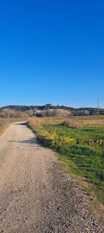 Uma estrada de cascalho serpenteia por um campo com grama verde e marrom, sob um céu azul claro, levando ao topo de uma colina arborizada distante.