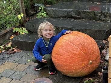 A smiling child in a blue jacket kneels beside a gigantic orange pumpkin on a stone pathway, surrounded by greenery and wet autumn leaves.