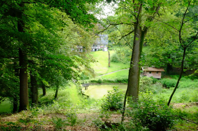 A imagem retrata uma paisagem serena com um corpo de água tranquilo, cercado por vegetação exuberante e árvores, com alguns edifícios visíveis ao fundo, evocando uma sensação de tranquilidade.