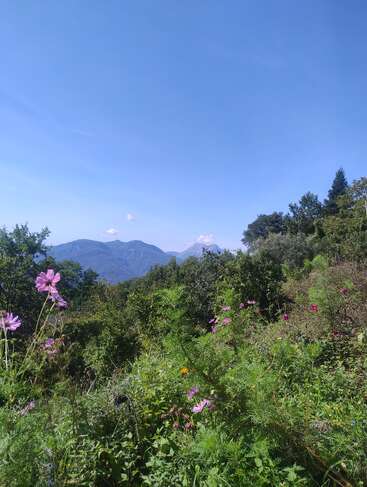 Im Vordergrund blühen Wildblumen, die üppig grüne Bäume einrahmen. In der Ferne erheben sich Berge unter einem klaren, weiten blauen Himmel. Die Ruhe und Schönheit der Natur leuchten hell.
