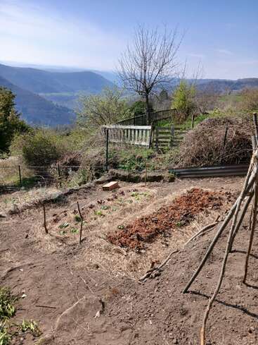 Ein kleiner, rustikaler Garten mit jungen Pflanzen, umgeben von einer natürlichen Umzäunung. Sanfte Hügel und ferne Berge bilden unter einem strahlend blauen Himmel eine wunderschöne, ruhige Kulisse.