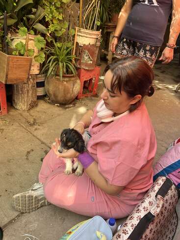 Uma mulher vestindo uma bata rosa está sentada no chão, segurando delicadamente um cachorrinho. Ao redor delas, dá pra ver plantas, vasos e outra pessoa em pé.