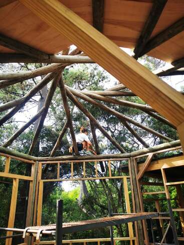 A person is building a wooden structure in the forest, sitting on beams forming a circular roof frame, surrounded by trees and natural sunlight filtering through.