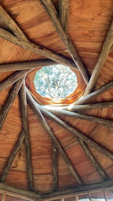 Wooden ceiling with exposed beams spirals towards a central octagonal skylight, framing a tree outside. Natural light illuminates the rustic, nature-inspired architectural design beautifully.