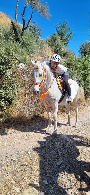 Une personne portant un casque monte un cheval blanc avec un harnachement orange sur un sentier rocailleux entouré de buissons secs et d'arbres verts sous un ciel bleu.