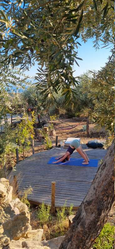 Une personne pratique le yoga en plein air sur une terrasse en bois entourée d'oliviers, sous un ciel bleu clair. Un hamac et des coussins ajoutent à l'atmosphère de détente.