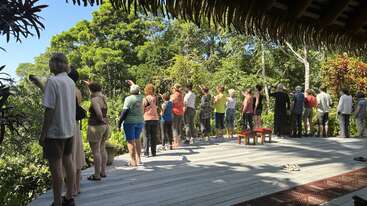 A group of people stands on a wooden deck, gazing into lush green trees. Bright daylight, outdoor setting, casual clothing, peaceful, nature observation, possibly birdwatching.