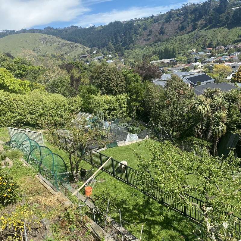 Esta imagen muestra un frondoso jardín verde en la ladera de una colina, con zonas valladas para las plantas, mallas protectoras para las hortalizas, árboles a su alrededor y un pintoresco valle residencial con colinas al fondo.