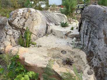 Large rocks border a sandy area with various succulents and cacti growing. There’s sparse green vegetation, and a green tractor is visible in the background.