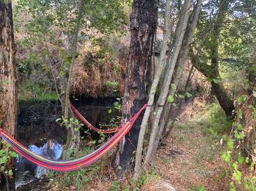 A colorful hammock is tied between trees beside a calm, dark stream in a quiet, wooded area. Fallen leaves add to the peaceful, natural setting.