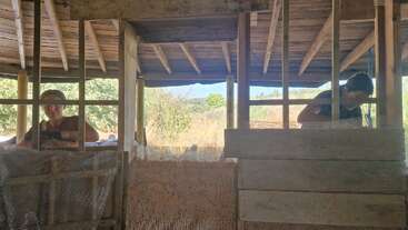 Two people are working together inside a wooden structure, installing mesh on wooden frames, with a scenic outdoor landscape visible through the open spaces between beams.