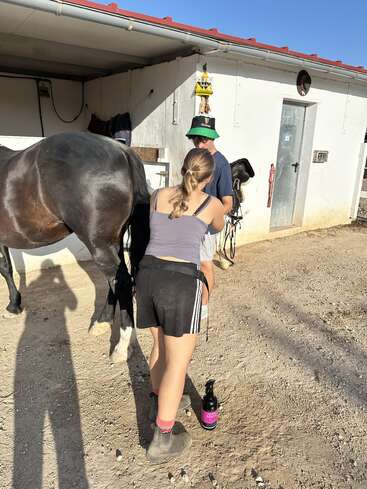 Duas pessoas estão perto de um cavalo escuro do lado de fora de um estábulo. Uma segura um casco, a outra o auxilia. Um frasco de spray está no chão e as sombras são nítidas.