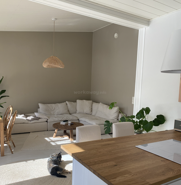 Le salon confortable et ensoleillé comprend un canapé sectionnel beige, une table basse en bois, un coin repas, des plantes luxuriantes et un chien qui se prélasse au soleil près de la cuisine.