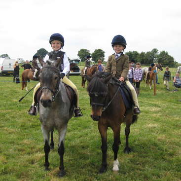 Hilf Mit Pferden Kindern Haus Und Garten In Saxmundham Uk