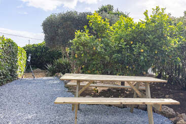 A wooden picnic table sits on a gravel path surrounded by green bushes and lemon trees. A telescope stands nearby, inviting stargazing in the garden.