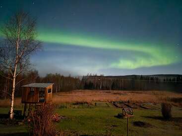 Une aurore verte lumineuse illumine un ciel nocturne dégagé au-dessus d'un champ rustique, avec une cabane en bois dans un arbre, des arbres dénudés et la silhouette lointaine d'une forêt qui complète le tableau.