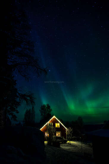 Une maison confortable et illuminée se dresse sous un ciel nocturne étoilé, avec des aurores boréales d'un vert éclatant qui dansent au-dessus, entourée d'arbres enneigés créant une atmosphère magique et sereine.