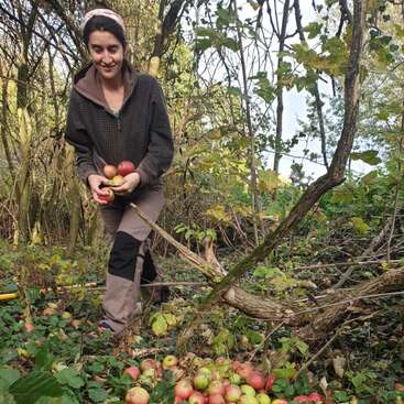 Das Bild zeigt eine Frau, die in einem Waldgebiet steht und Äpfel in der Hand hält, während vor ihr ein großer Haufen Äpfel auf dem Boden liegt.