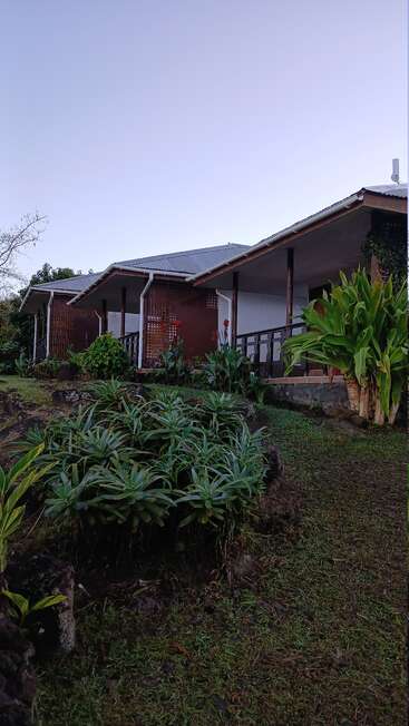 Esta imagen muestra una hilera de casitas con techos de chapa, rodeadas de exuberante vegetación y césped, bajo un cielo despejado y sereno al atardecer.
