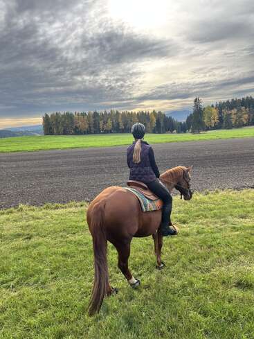 Une personne portant un casque et un gilet chevauche un cheval brun à travers une prairie verdoyante. Des nuages sombres envahissent le ciel, tandis que les arbres et les champs automnaux s'étendent à perte de vue.