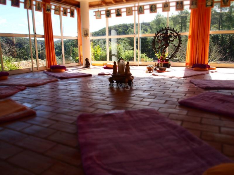 Juice fasting detox and yoga retreat looking for volunteers in Portugal