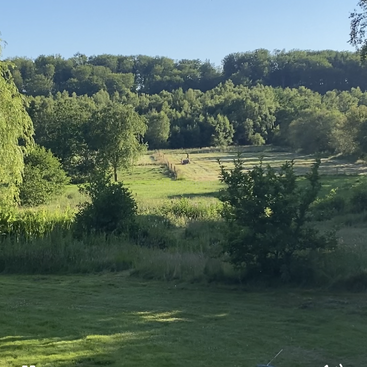 Un prado verde y frondoso, rodeado de árboles densos, bajo un cielo azul y despejado. La luz del sol ilumina el paisaje. A lo lejos se ve un tractor trabajando. Una escena tranquila.