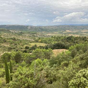 Cette image montre un vaste paysage verdoyant composé de collines ondulantes, de forêts denses, de champs à perte de vue et de montagnes au loin, sous un ciel lumineux et partiellement nuageux. Une scène naturelle paisible.